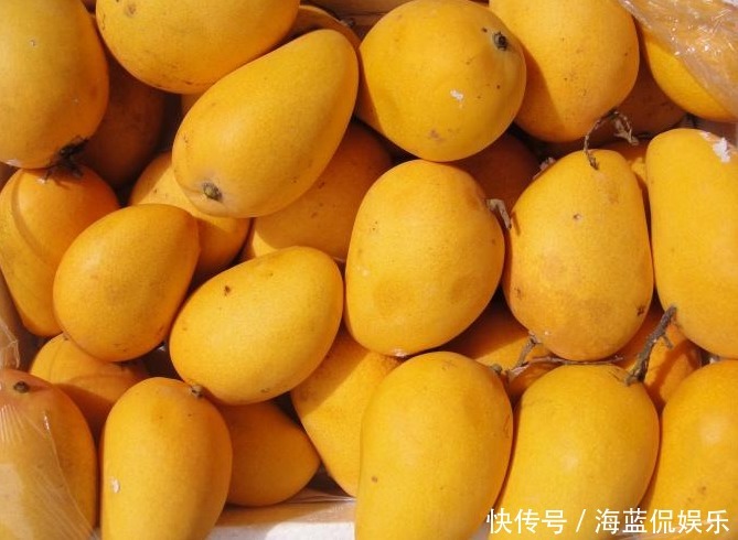 肠胃|夏天再热,有些水果专家也建议少让孩子吃,可能会损害孩子的肠胃