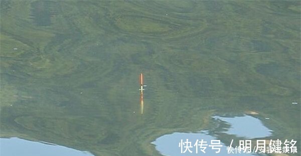 冬季钓鲫鱼,调漂不可追求灵敏,用这两种调漂方法,顿口更清晰!