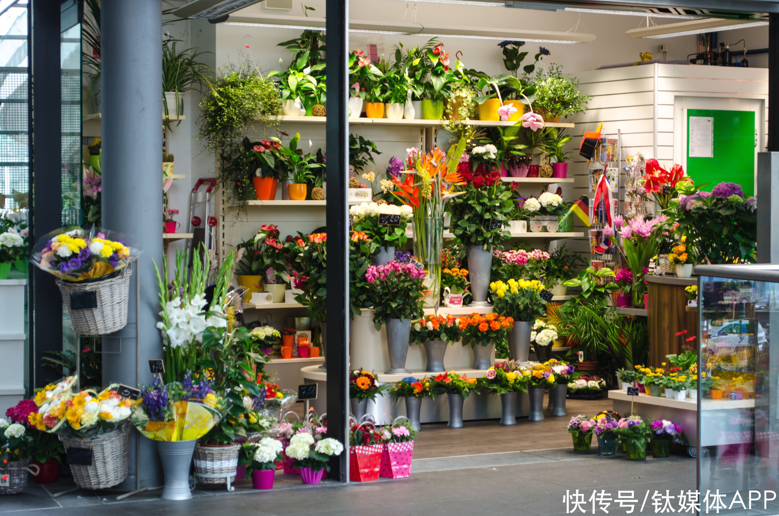 情人节|七夕情人节直播买花图鉴：鲜花、永生花都有人爱
