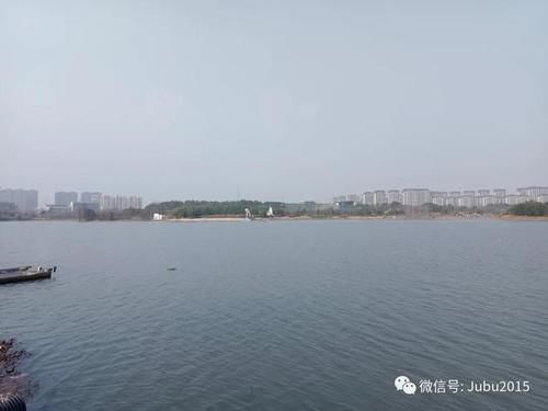 新区|换个角度发现美：金义新区（东城）金满湖公园的北面照26张