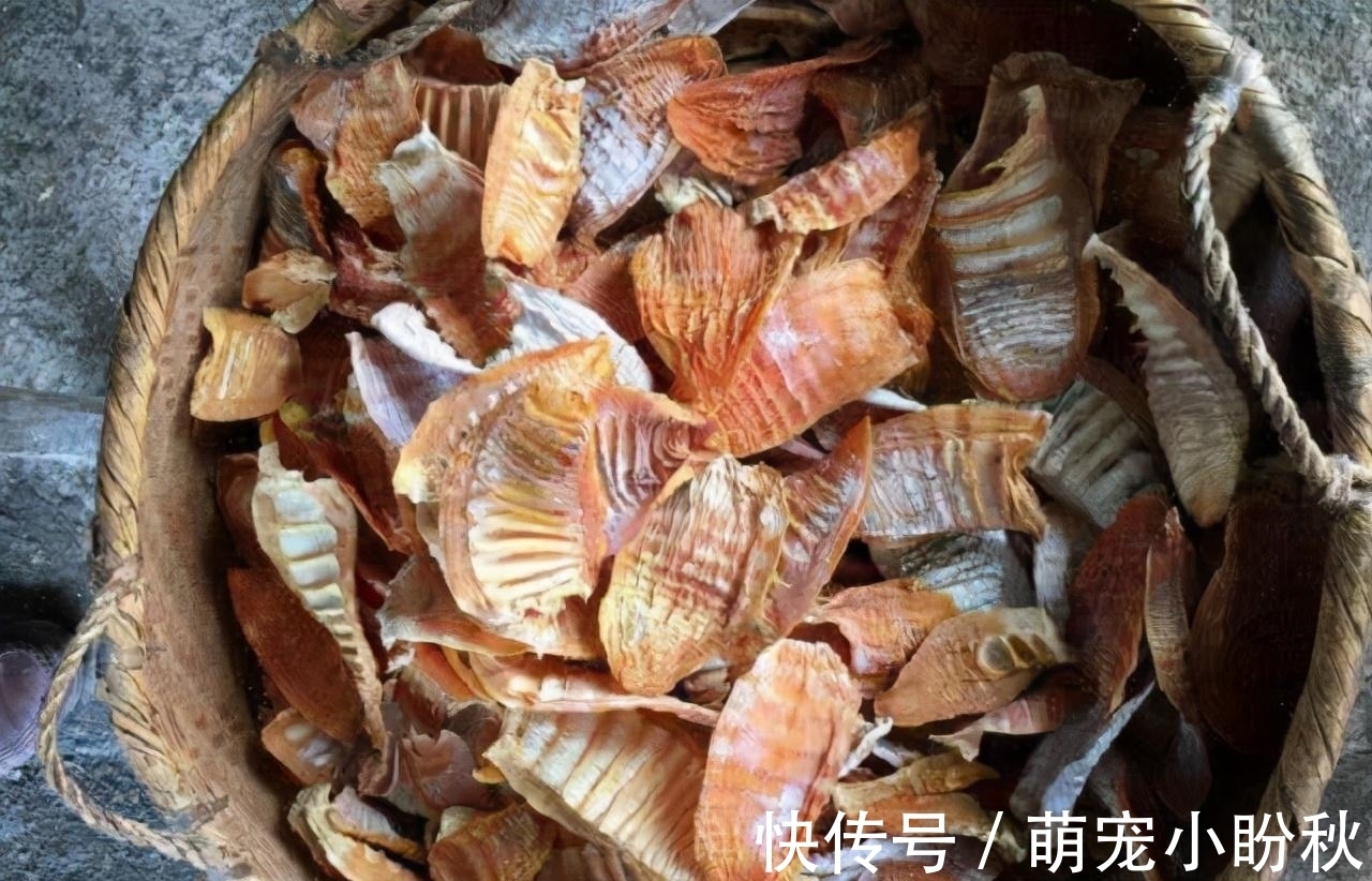 我妈|婆婆从家乡寄来的土特产，老妈却瞧不起，邻居：你可真不识货！