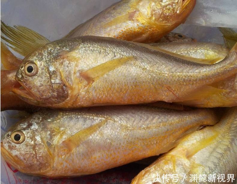 中国|中国的四种高级食材,你都吃过么