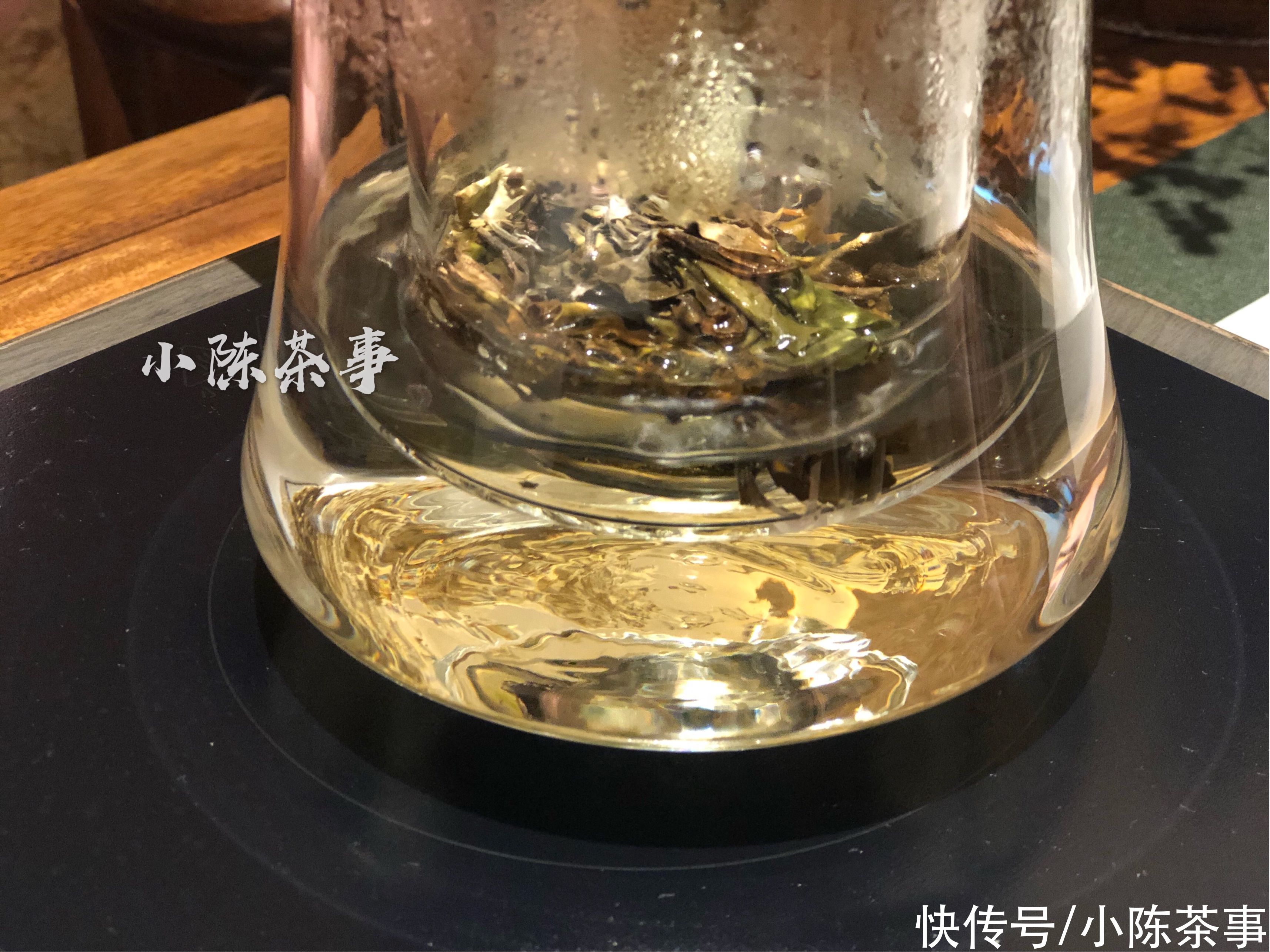  物质|白茶是煮着喝，还是泡着喝？喜欢煮茶的人，这里有你想要的干货