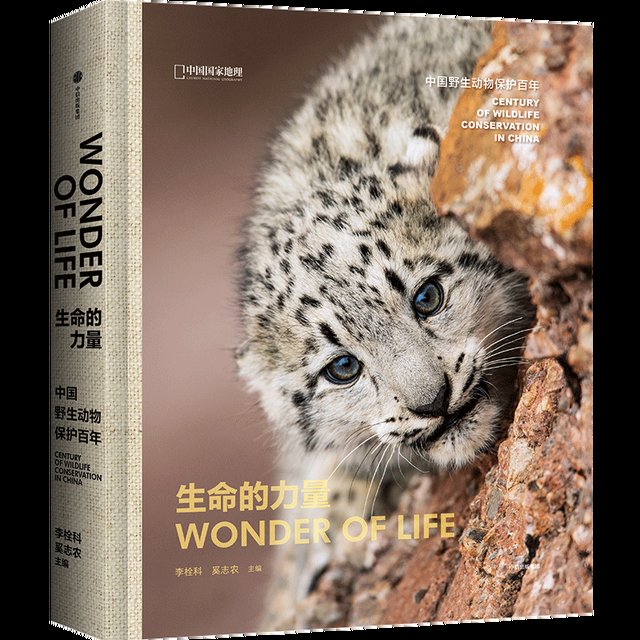  好书|2020中信出版年度图书｜40本入围好书来啦！（上）