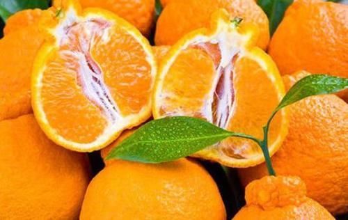 果蔬菜|超市最常见的3种食物,营养丰富、延缓衰老,好吃又不贵!