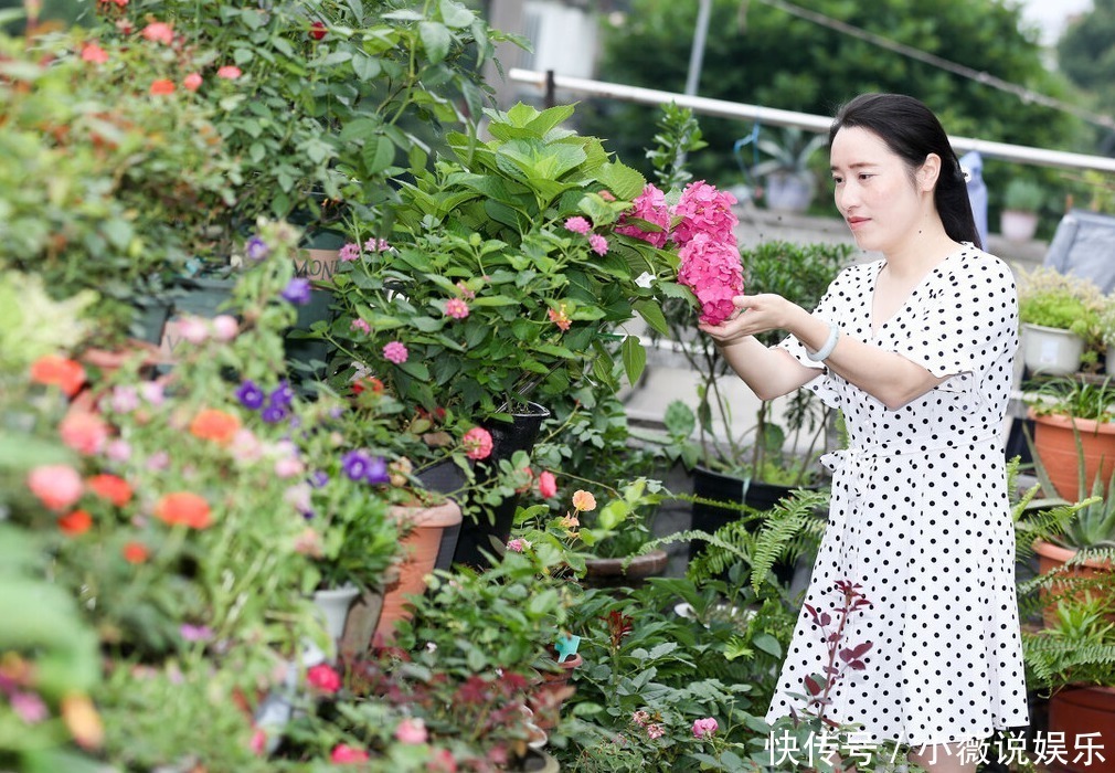铁线莲|阳台别摆盆盆罐罐了，5种花草养一棵就能开满阳台，很省空间
