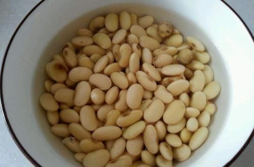 营养|它是“天然氮肥”，家家都有，养花埋盆里，营养有价值，养啥旺啥