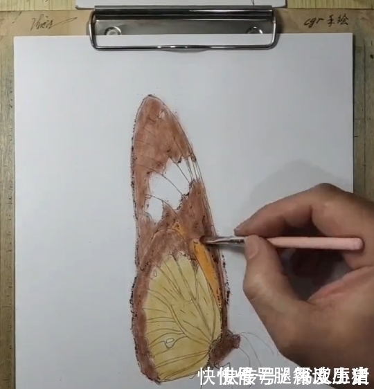 手绘#美术生手绘3D蝴蝶,成画惊呆众人,粉丝:传说中的蝶舞翩翩?