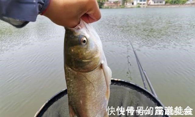 “呛水”真的能快速遛翻大鱼可能你一直理解错了