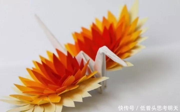 重样|每天折一只千纸鹤,他坚持了1000天不重样,女友被感动到梨花带雨