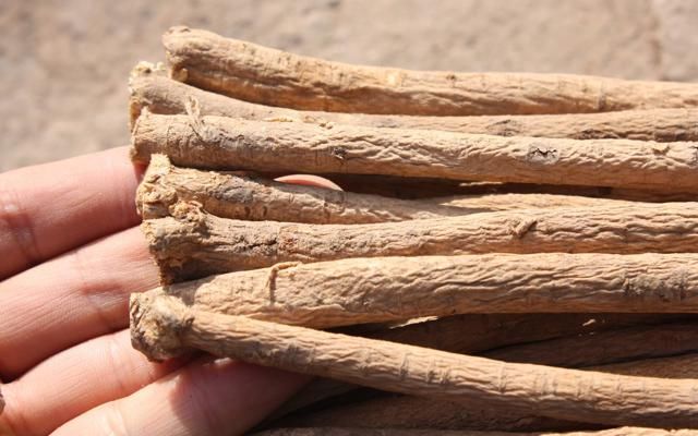 它如今的数量再也经不起采挖,若你家乡也有,请重点保护,别不知