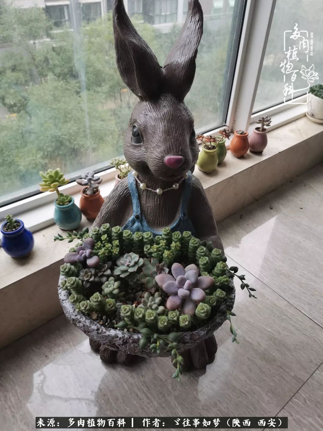 愿你付出甘之如饴,愿你所得归于欢喜!