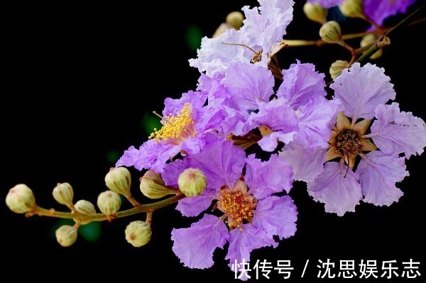 性格|12生肖与性格息息相关,这些生肖天生就“非凡”,可以带来财富!