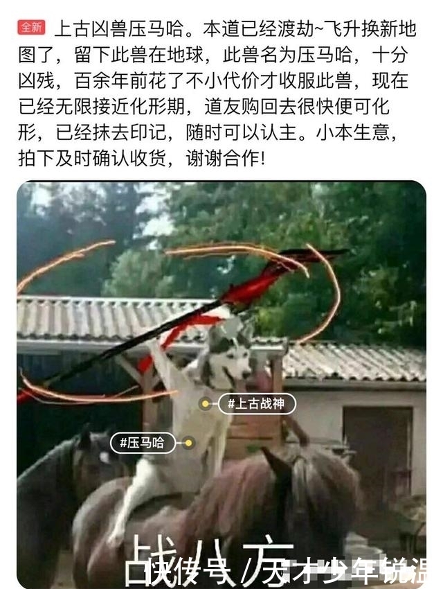 唢呐|闲鱼上的奇葩文学奖，笑到我妈让我改行吹唢呐