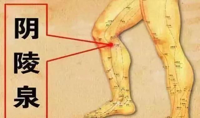 湿气|夏天多按摩这7大穴位,帮助你轻松健脾祛湿