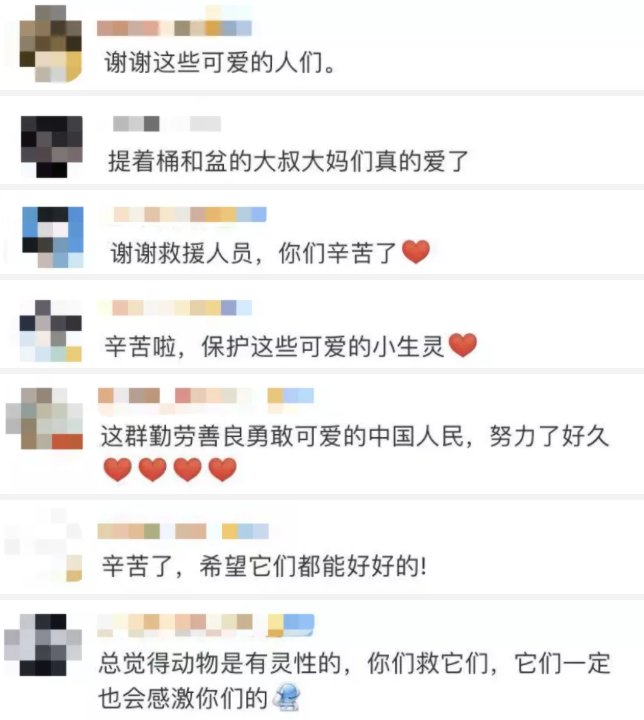 营救|你无法想象，这场生死营救他们有多拼……