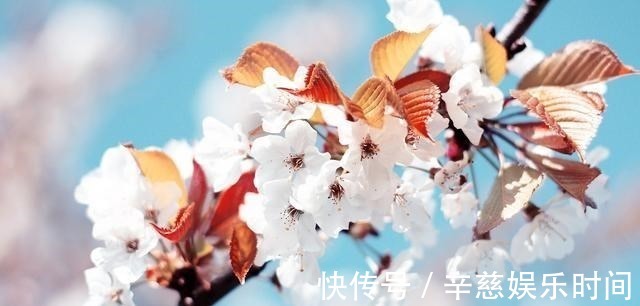 水瓶座|永远无法征服的三大星座，生来骄傲，充满血性，且从不依靠任何人