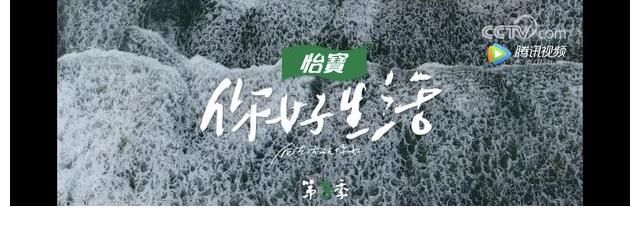 任鲁豫|综艺《你好生活》央视主持人户外团建又来啦！帐篷夜话暖心治愈