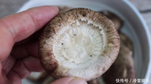 炒菜|清水洗香菇，和没洗一样，教您一招，脏东西和小虫子自动溜走