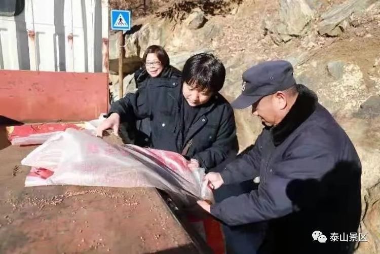 野生|人工投食万斤“冬粮”助泰山鸟儿越冬