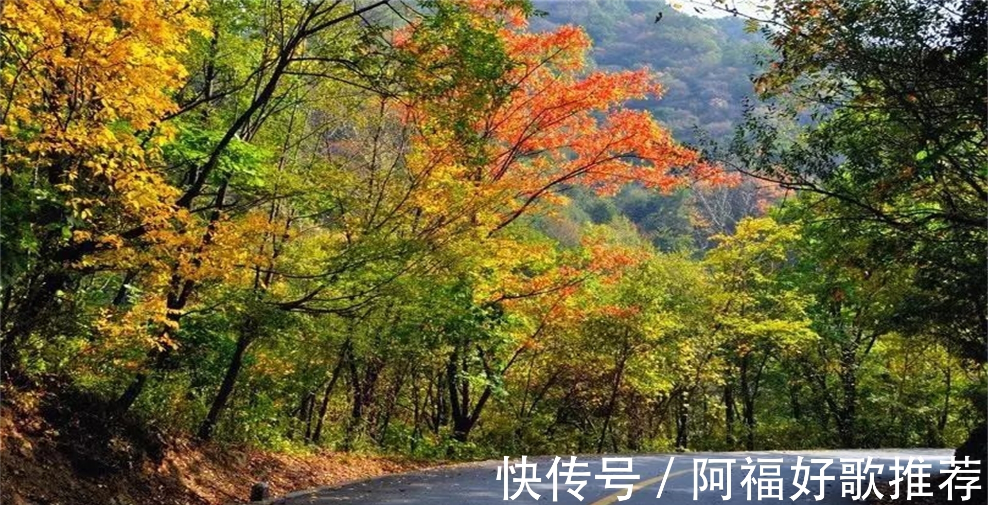 老国道|秦岭这几条公路太适合自驾了，秋天的好去处，去过的都赞不绝口！