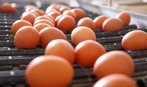 鸡蛋别再放冰箱了,农村大妈教你一招,效果非常好,半年都不坏