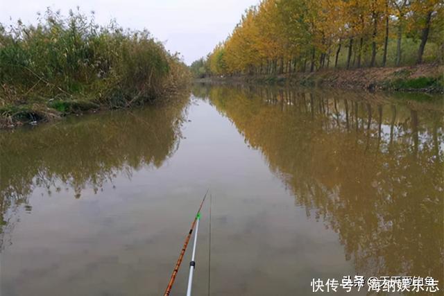 冬钓大鲫鱼,钓深还是钓浅?天冷要找这种地方,鲫鱼在这里扎堆