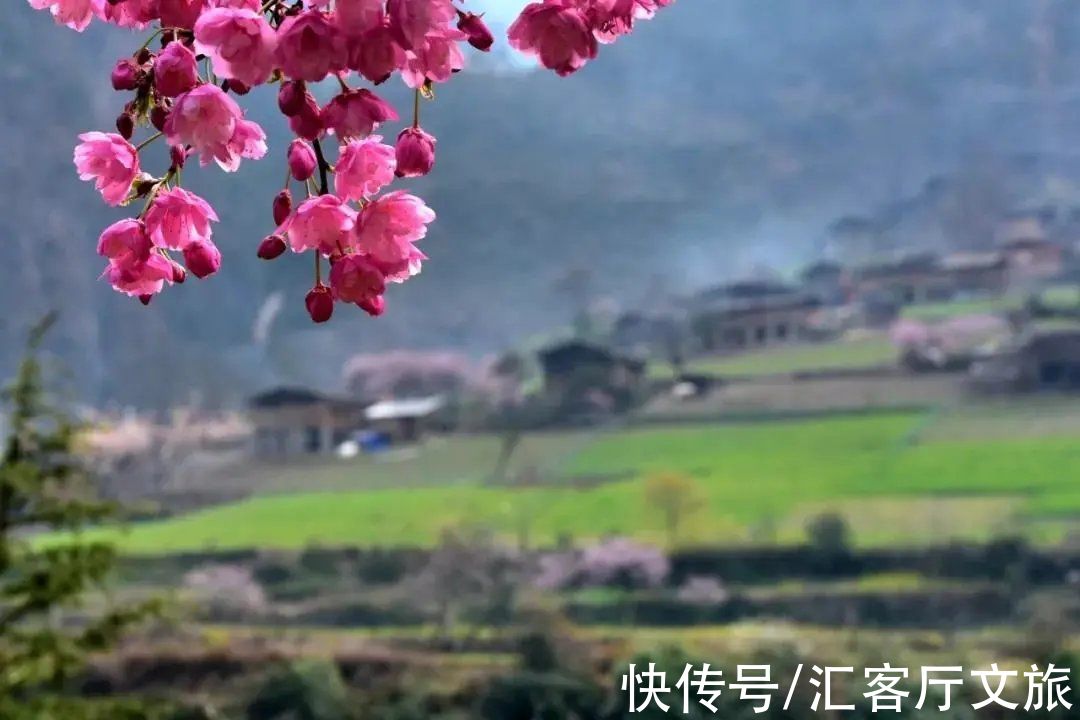 丙察察|桃花盛开，江水如蓝，每年春季丙察察迎来一年中最美的时光