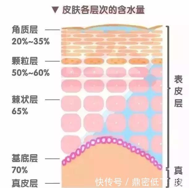 5个常见护肤伪概念补水、吸收都在其中,你被坑了吗
