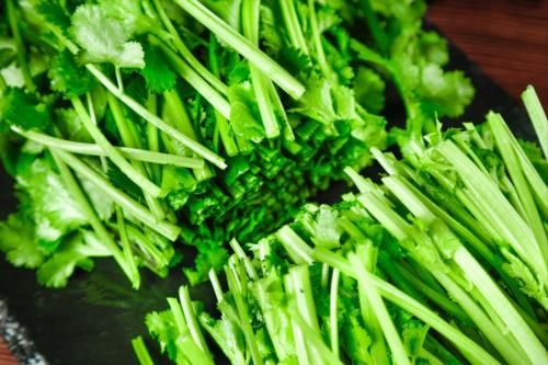 袋子|香菜放进袋子里,保存一年没问题,颜色翠绿不发黄,新鲜不变味