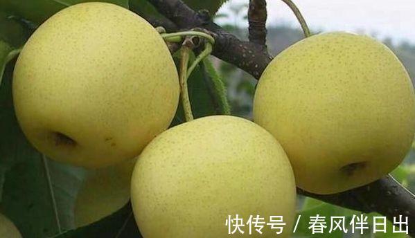 清脂素|女人爱美吃3种食物,促进排毒,美容护肤,排毒抗衰,肌肤更水嫩