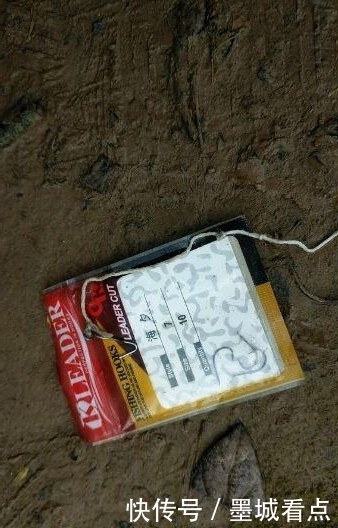 鱼钩|没想到还能这样钓鱼,一看就是个高手