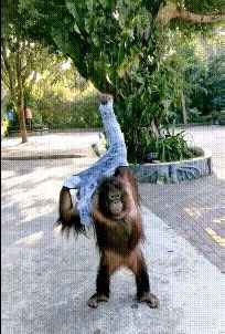 |搞笑GIF趣图:坐摩托车的妹子都被吓到了,没想到车子会掉进坑里