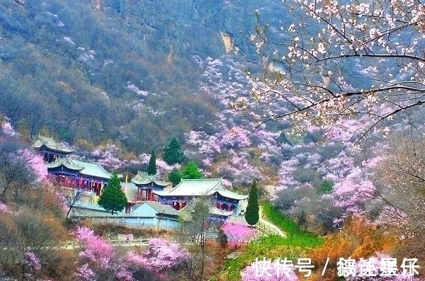 春江水暖&这3首著名的诗也曾备受质疑,是抬杠还是诗句确实有问题?