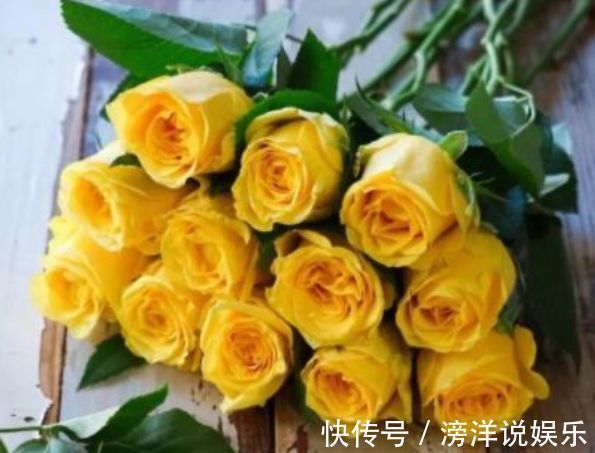 “精品玫瑰”金香玉,花开金碧辉煌,芳姿耀眼,可以说是盆栽佳品