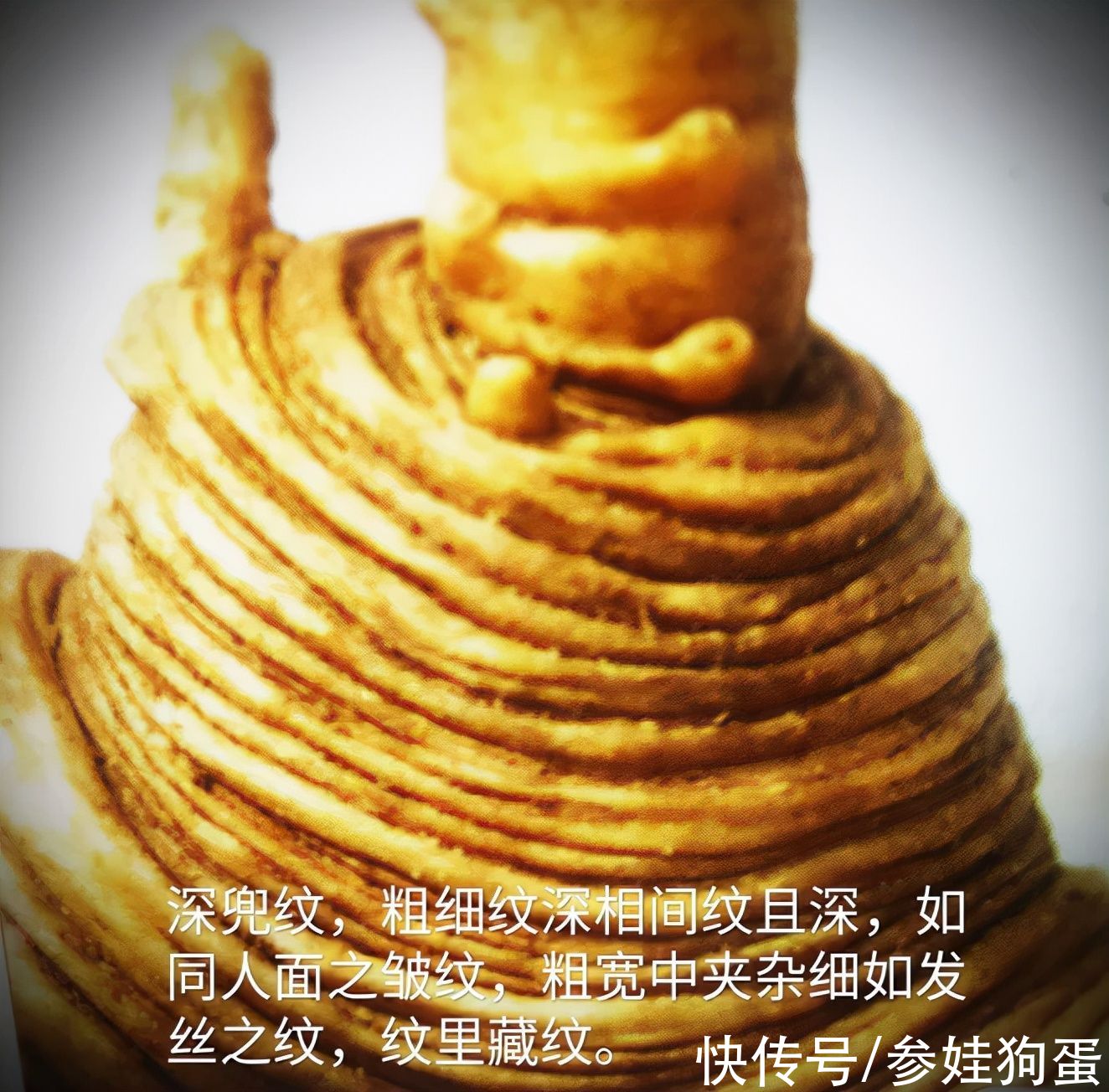 野生人参纯度鉴别