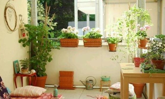 冬季供暖室内“干燥”,有3种“加湿”技巧,让花叶子一直绿油油