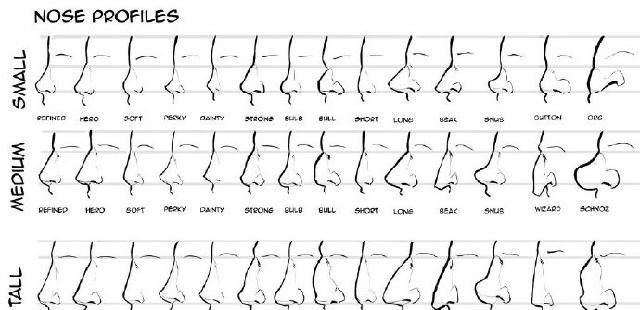 人类|绘画素材 ▏画师分享的各种人类鼻子的画法