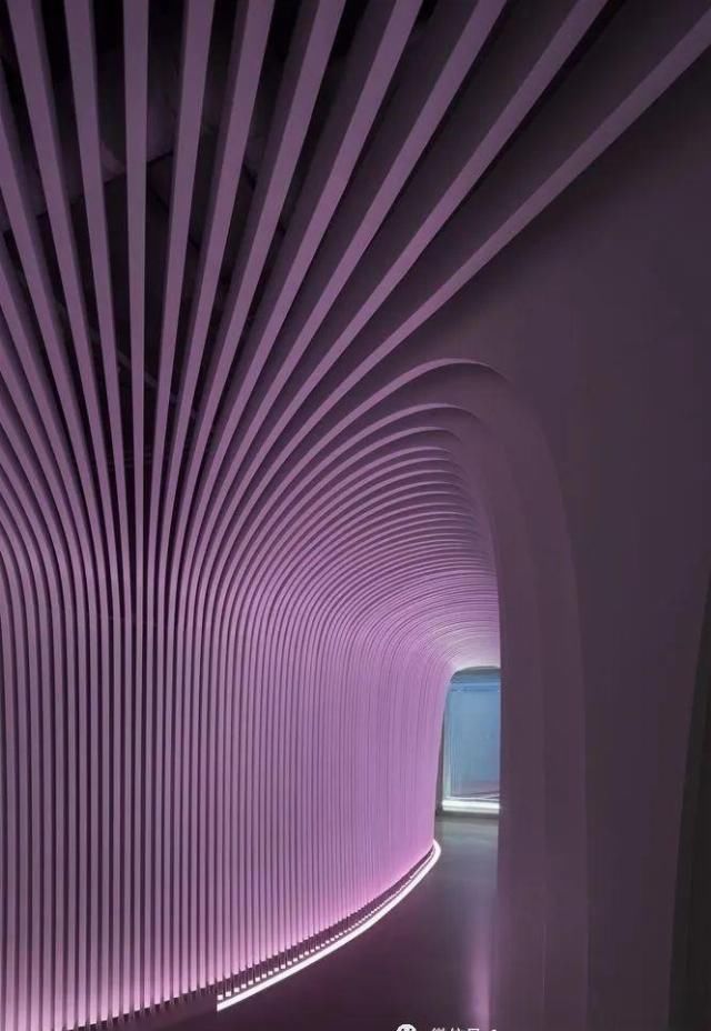 紫色是一|象征着灵性的紫色为什么是顶轮的颜色fashion色彩心理