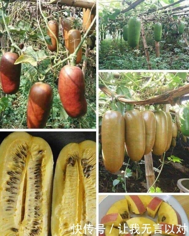 种水果|男子在街头卖“大香肠”,半天没卖出一个,切开之后,路人抢着买