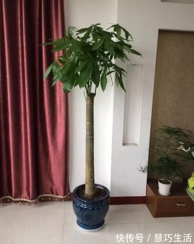 细节|装修细节200项,不用多记住20%让你装修少走冤枉路。