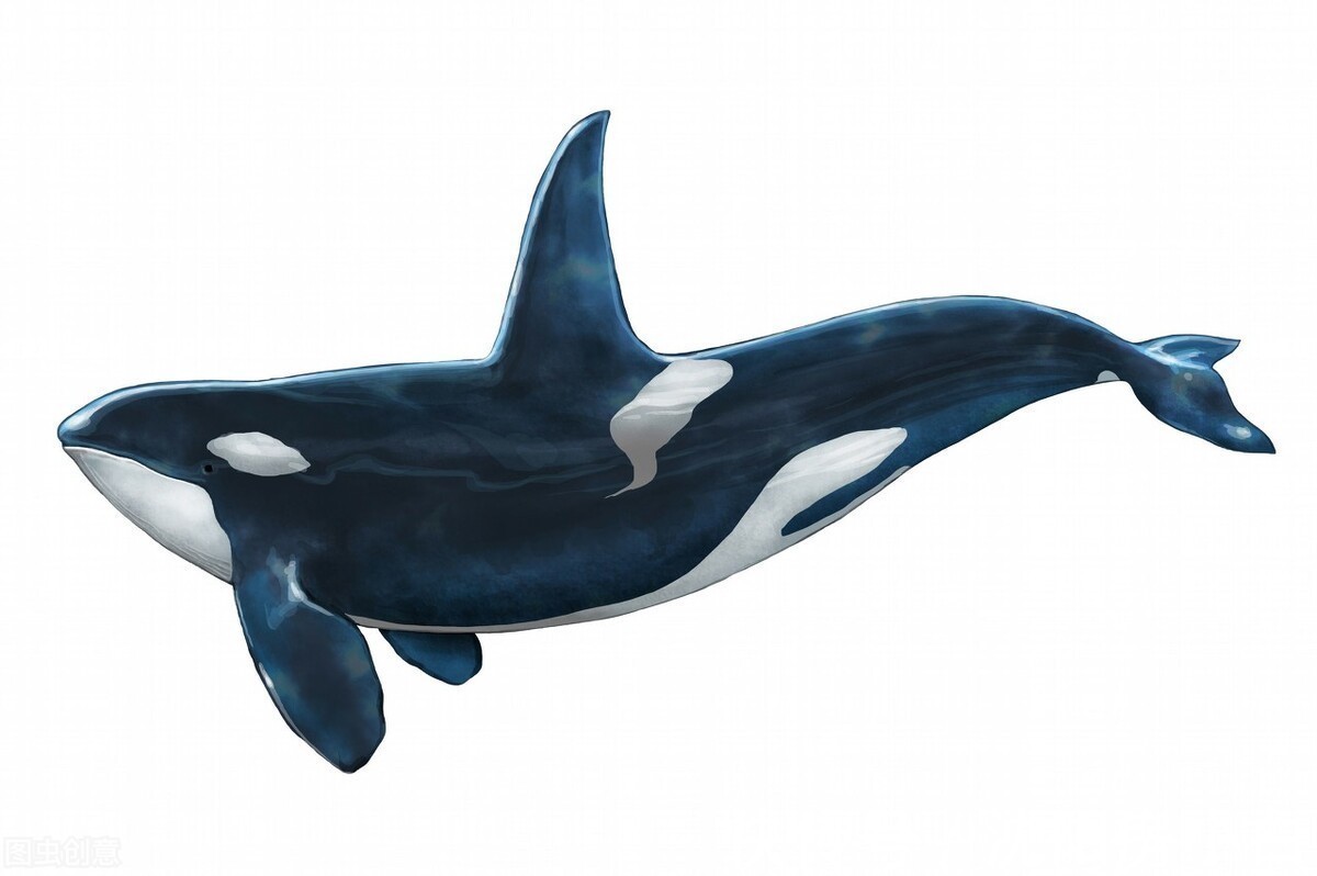 沿街|沿街商铺怎么就那么香,现在的商场貌似真没啥客流量啊!