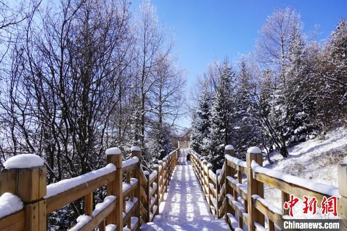 降雪|四川若尔盖：雪后雾凇若诗若画