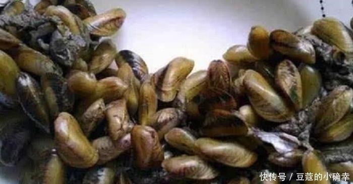 好吃|这种海鲜剥5斤才有1斤肉,比螃蟹还好吃,只有潮汕人才懂的美味