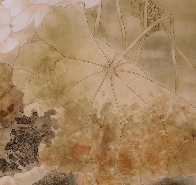 恬淡@佚名荷,画感细腻,笔墨朴素恬淡,真乃与自然对话