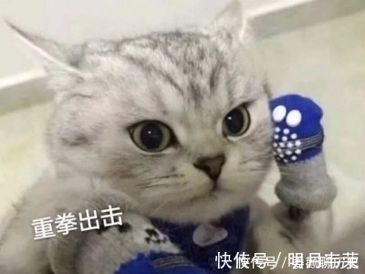 起床|女生起床后坚持“3习惯”，体重悄悄下降，颜值一路飙升！