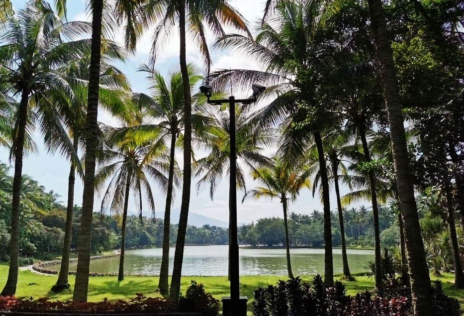 热带经济|美丽的植物园，独特的植物景观——游兴隆热带植物园