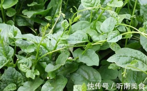 清热解毒|人到中年想长寿,推荐多吃3种食物,缓解衰老,有益健康!