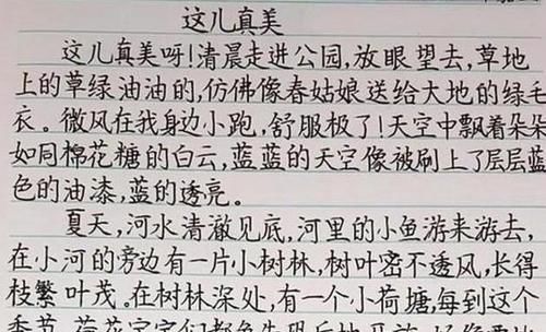 小学生|小学生预习笔记火了，字迹整洁有条理，网友：又是别人家孩子