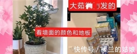 孩子|张恒郑爽抚养权案迎来大结局？DNA鉴定孩子并非女方亲生？